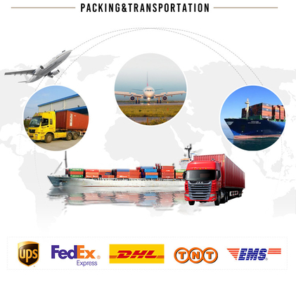 600 kg per dag LZ-06 Container Ice Flake Machine voor machines in Sri Lanka