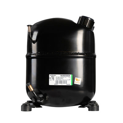 Embraco Compressor 500Kg Daily LZ-05 Ammoniakvlok-ijsmachine voor Sri Lanka en Korea