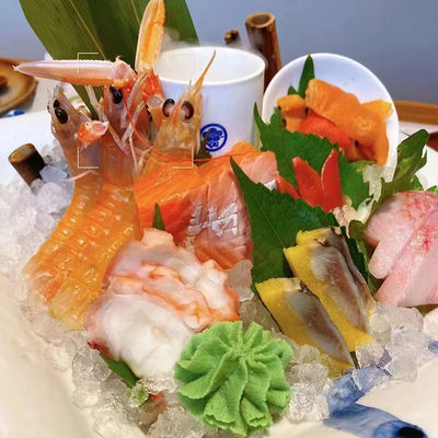 Embraco Compressor LZ-500 ijsmachine sneeuwvlokken ijs scheermachine voor 220kg 24 uur